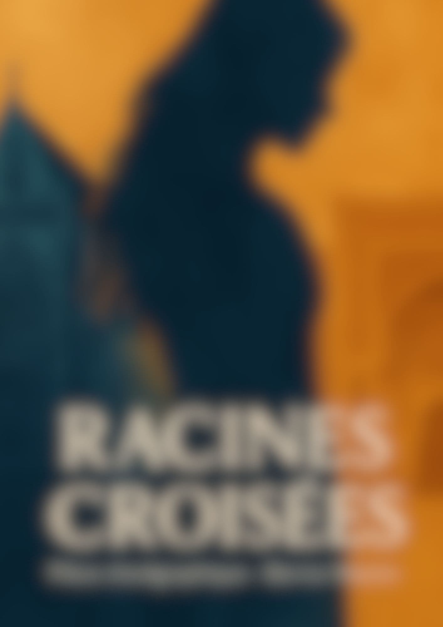 Projet international France-Maroc